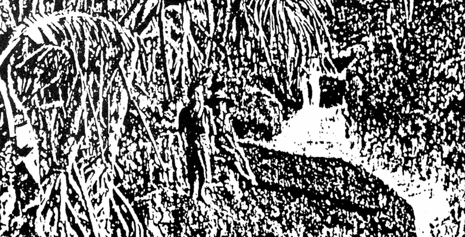 Pour aller plus loin : "Cohabiter : assemblages terrestres"